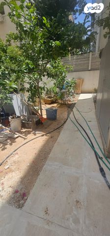 דירת גן, זרובבל, כרם התימנים, תל אביב יפו