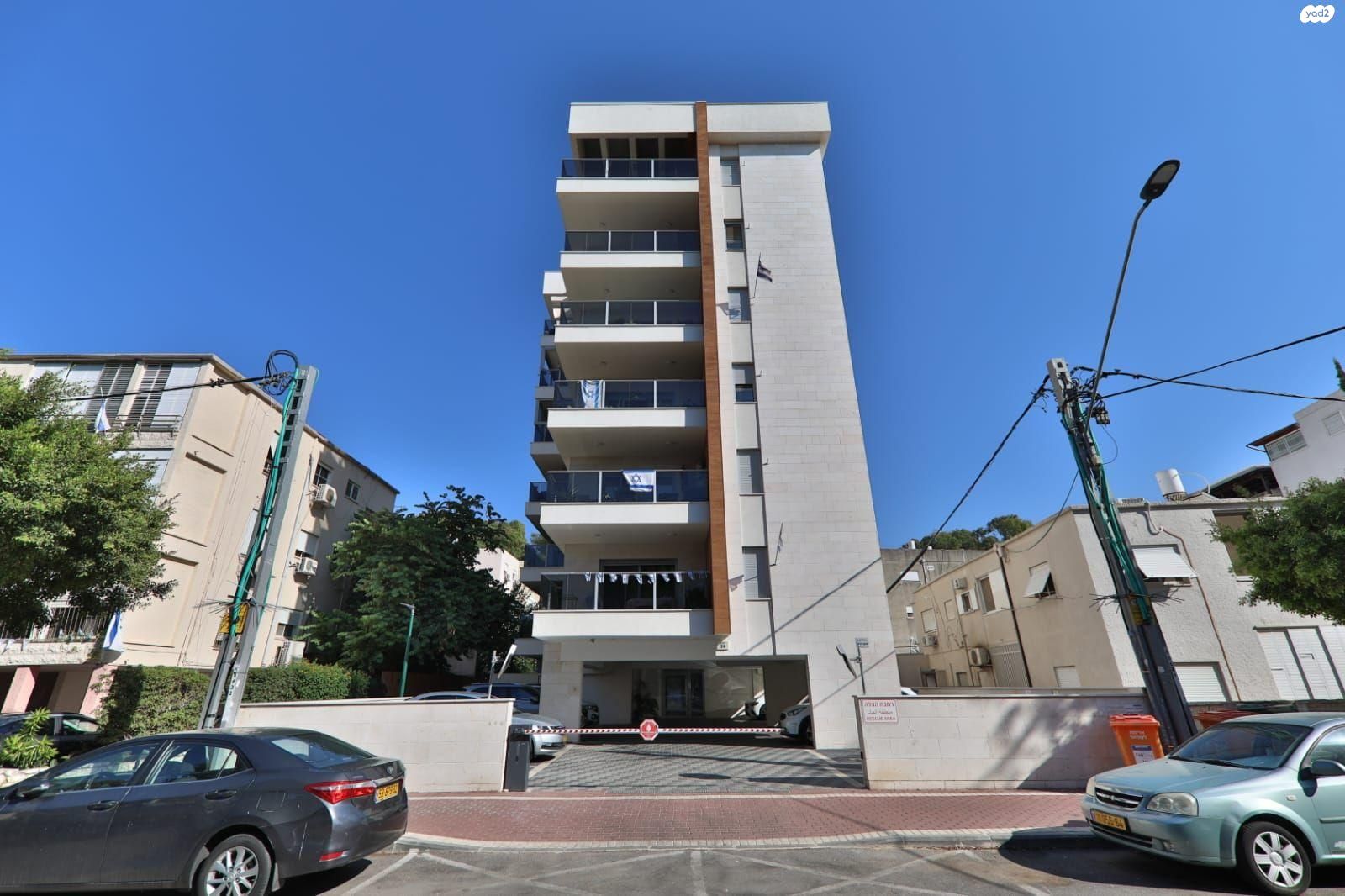 דפנה 24