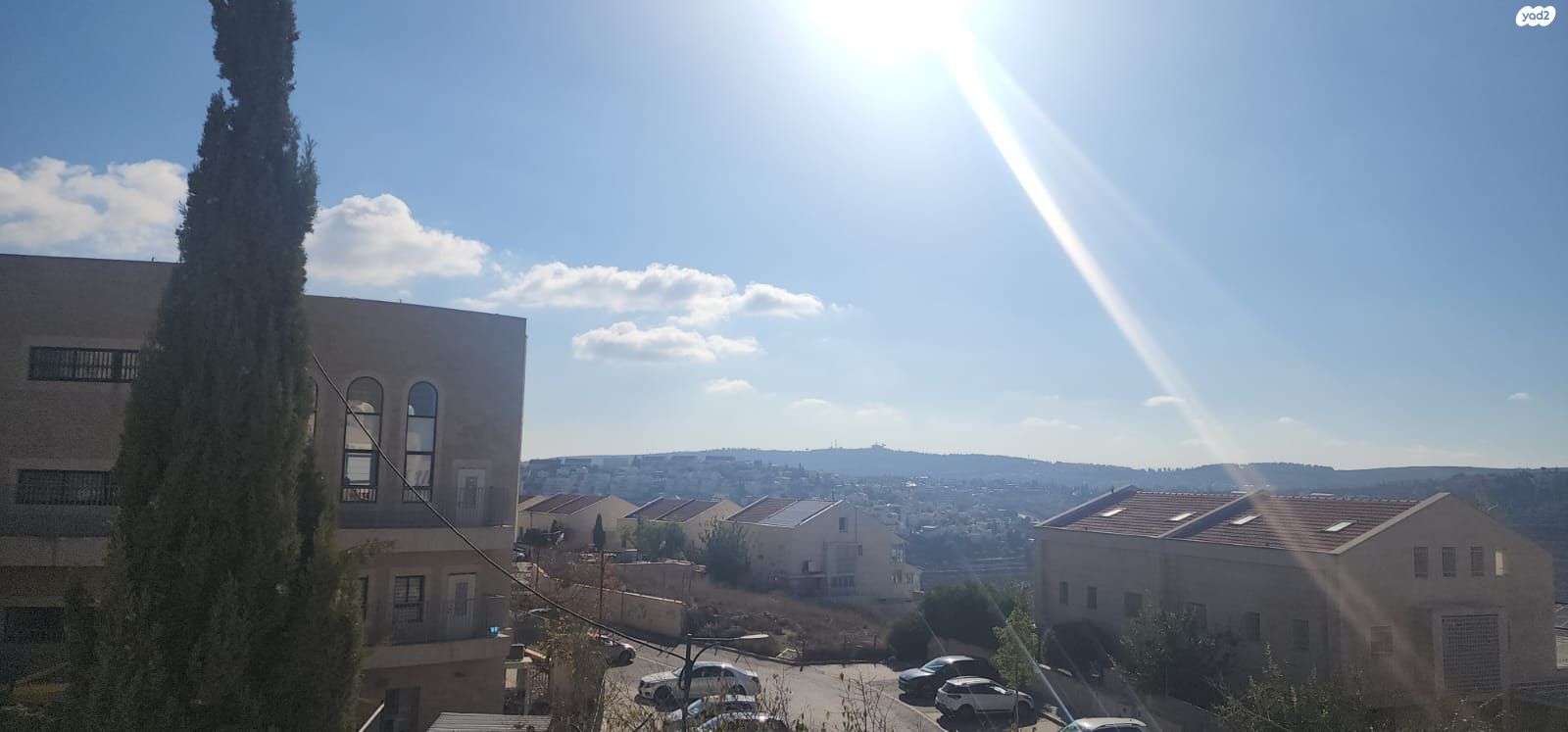 פרחי בר 10