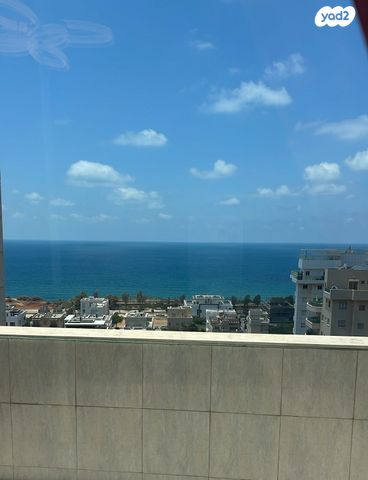 הבריגדה היהודית 