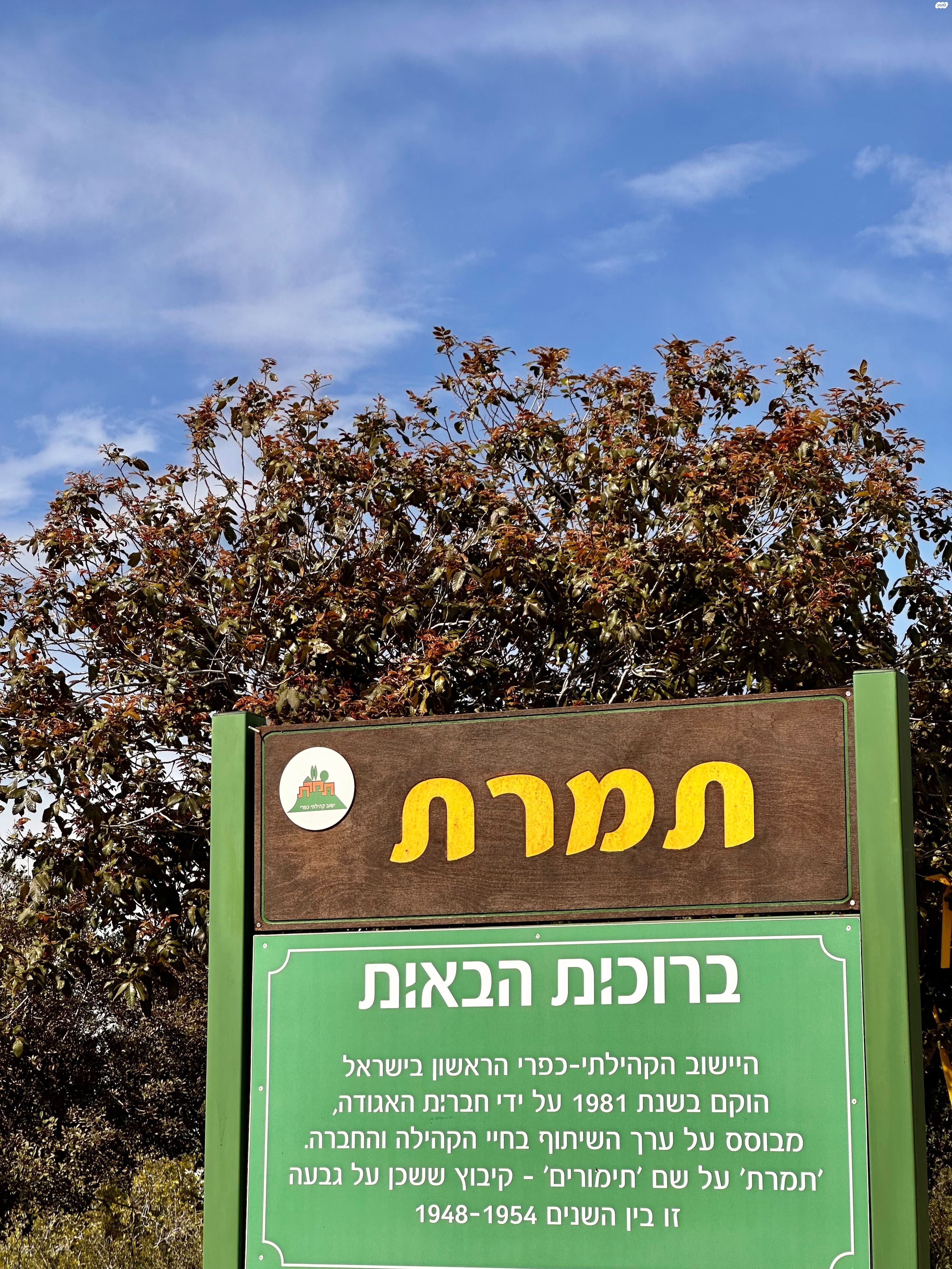 מגרשים