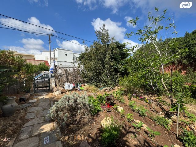 מגרשים, רמז, נווה רמז, זכרון יעקב