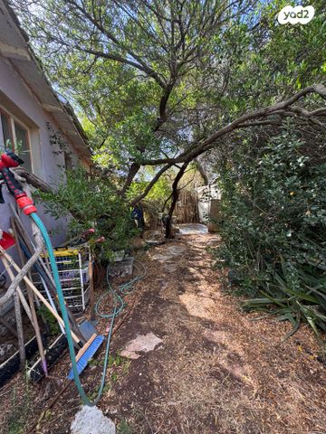 מגרשים, רמז, נווה רמז, זכרון יעקב