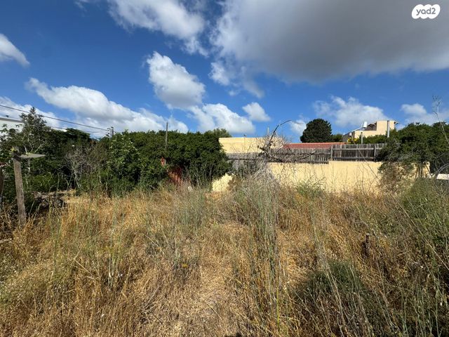 מגרשים, רמז, נווה רמז, זכרון יעקב