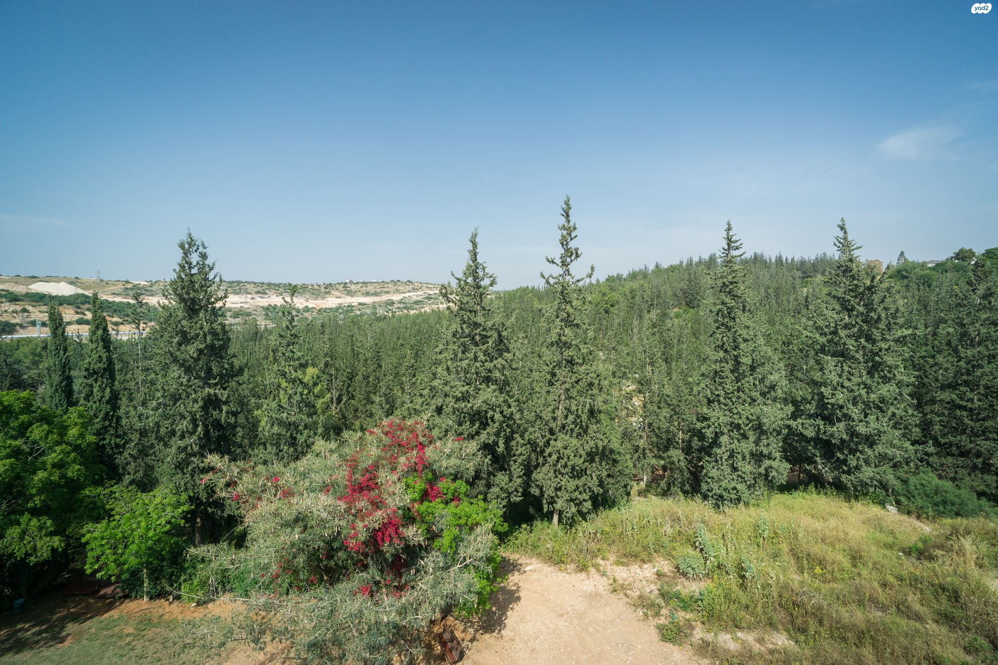 ה' באייר 