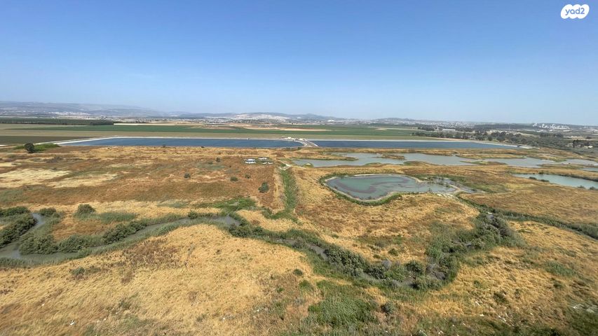 אריק אינשטיין 