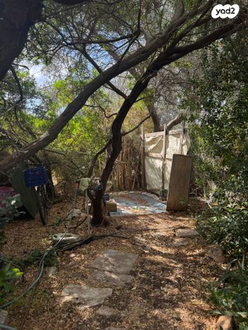 מגרשים, רמז, נווה רמז, זכרון יעקב