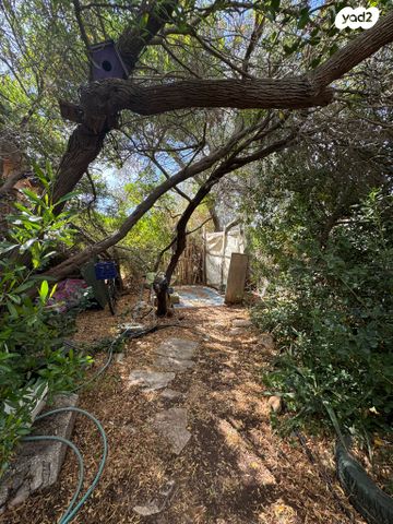 מגרשים, רמז, נווה רמז, זכרון יעקב