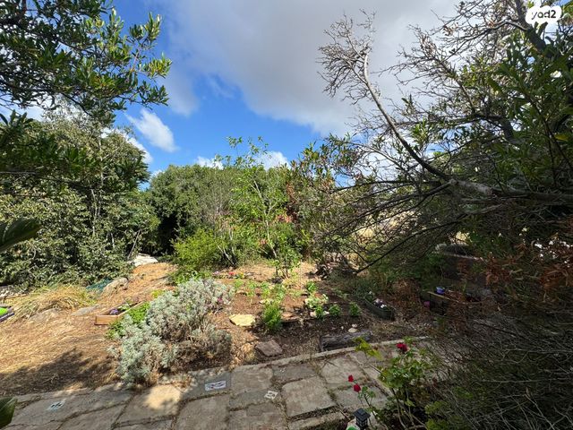 מגרשים, רמז, נווה רמז, זכרון יעקב