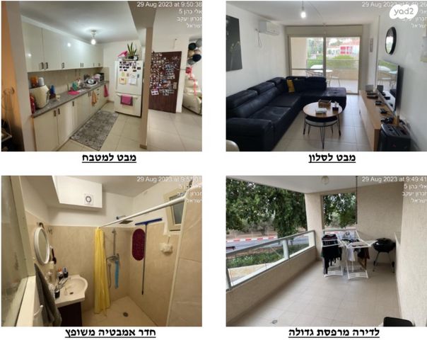 חנה סנש 