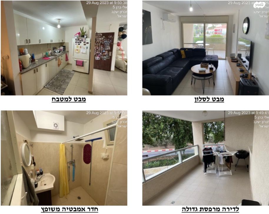 חנה סנש 