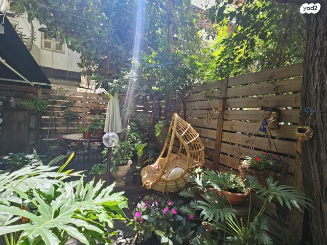 דירת גן, שלמה המלך, הצפון הישן - דרום, תל אביב יפו