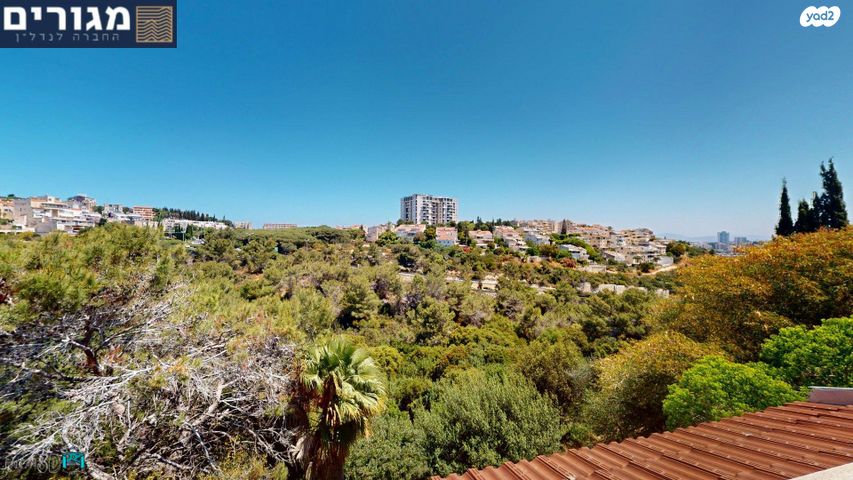 דופלקס, מבצע יונתן, רוממה, חיפה