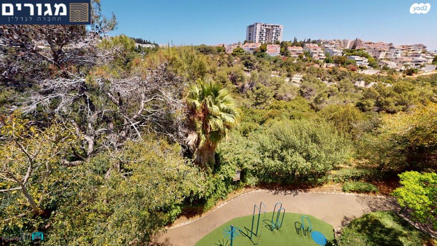 דופלקס, מבצע יונתן, רוממה, חיפה