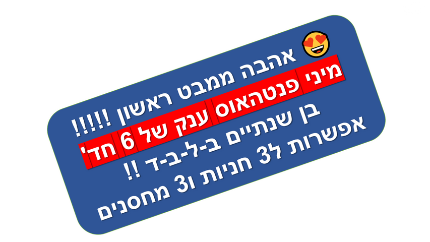 קהילת ציון 24