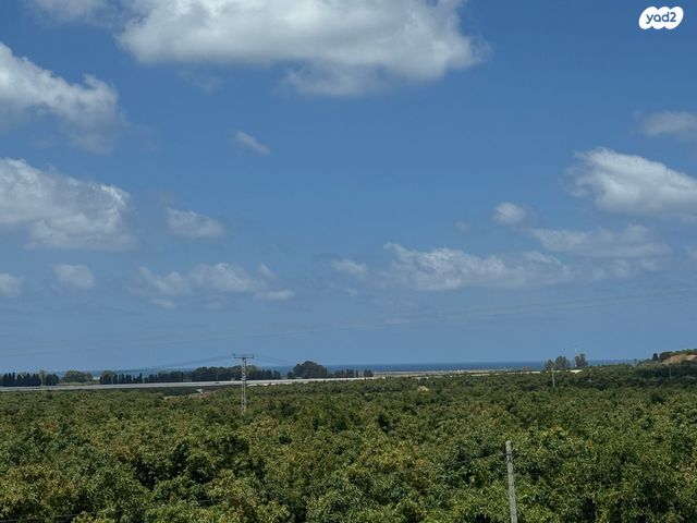 דירה, אדמית / יערית, שלומי