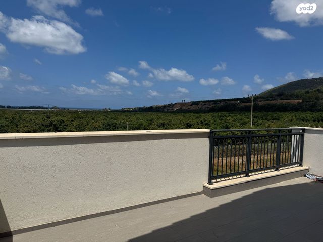 דירה, אדמית / יערית, שלומי