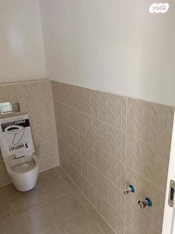 דירה, סלע, רחובות