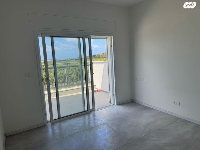 דירה, אדמית / יערית, שלומי