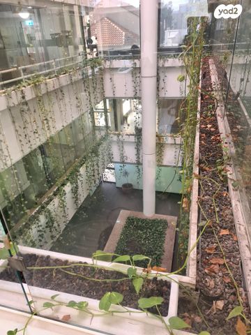 משרדים, קלישר, לב תל אביב, לב העיר צפון, תל אביב יפו