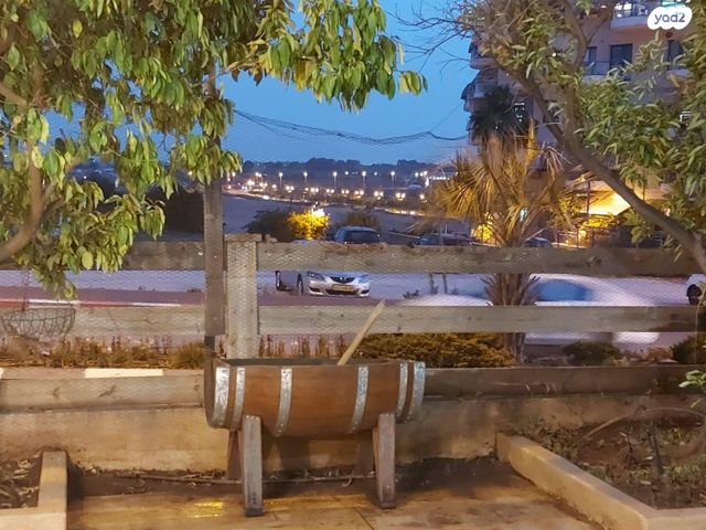 האוכמנית 94