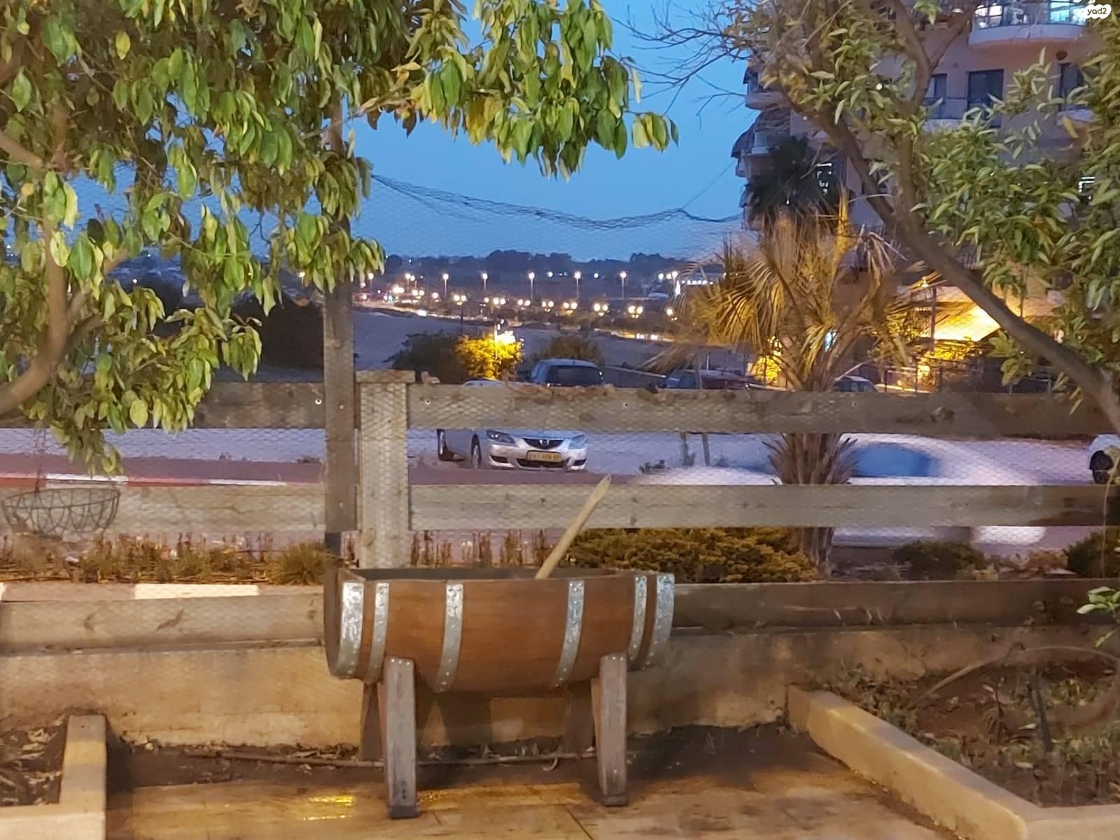 האוכמנית 94