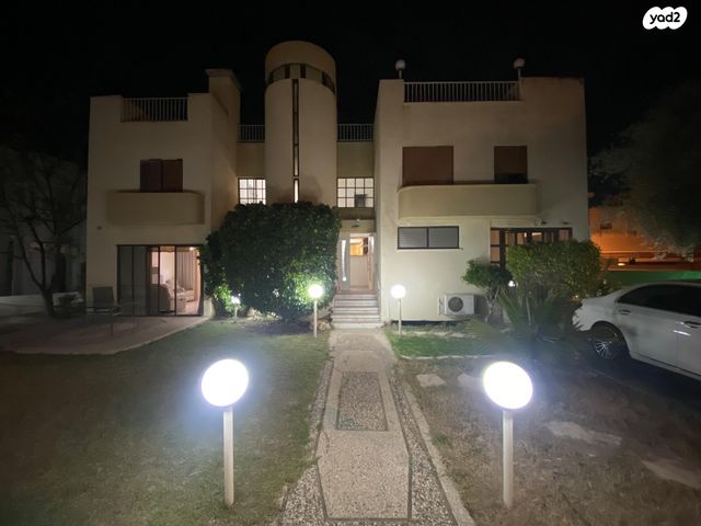 נרקיס 14