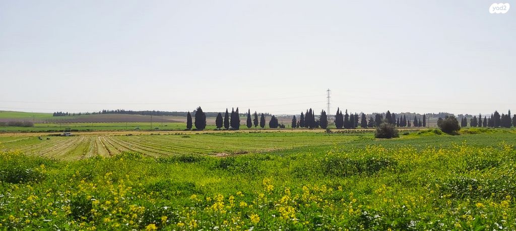 חלץ 1