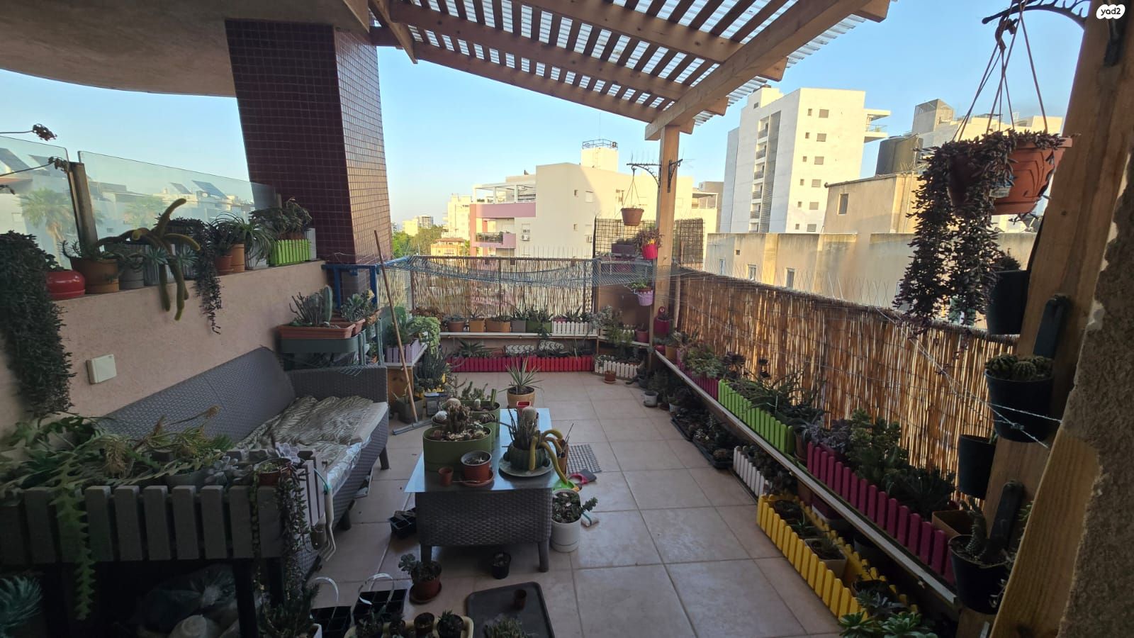 הלל יפה 38