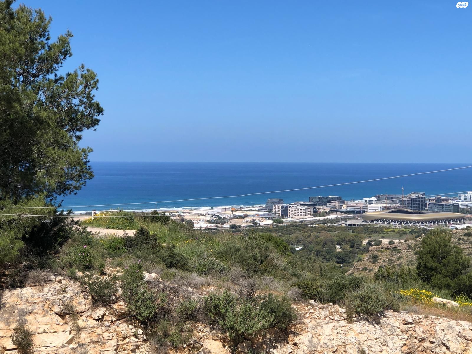 דניה 1