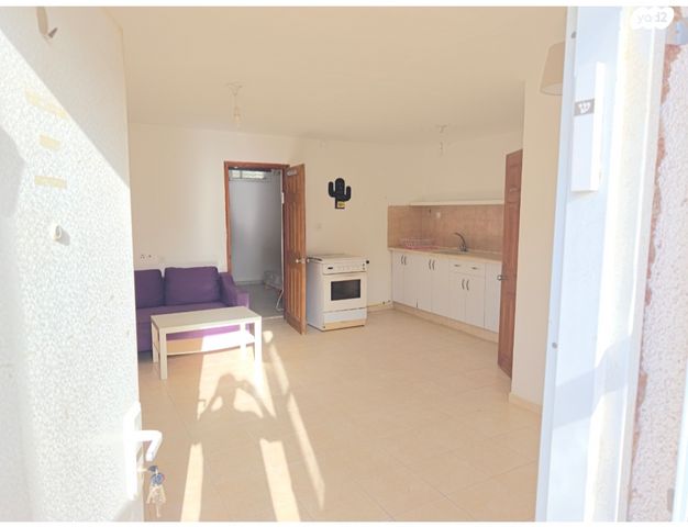 רינגלבלום 1