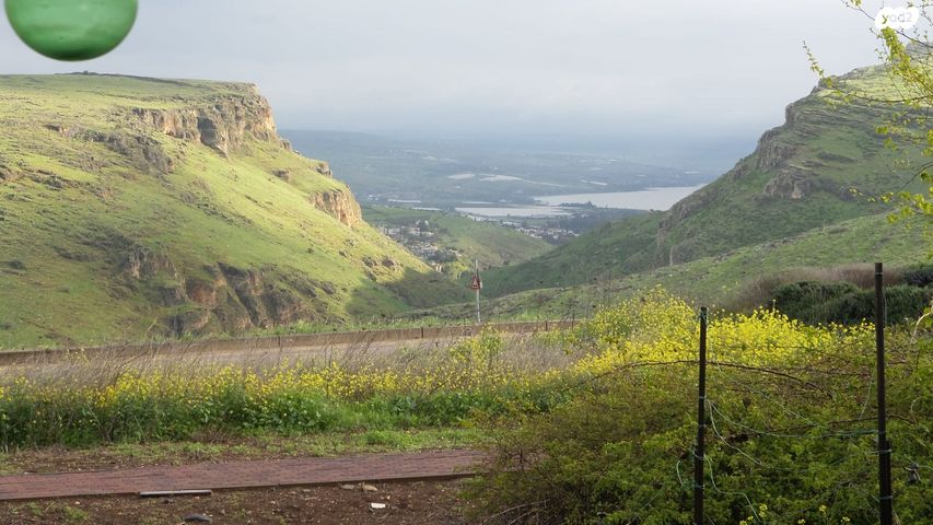 בית פרטי/ קוטג', ארבל