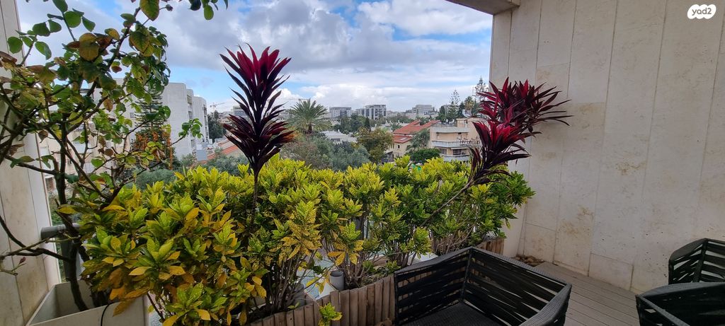 גג/ פנטהאוז, המלאכה, הדר, רמת השרון