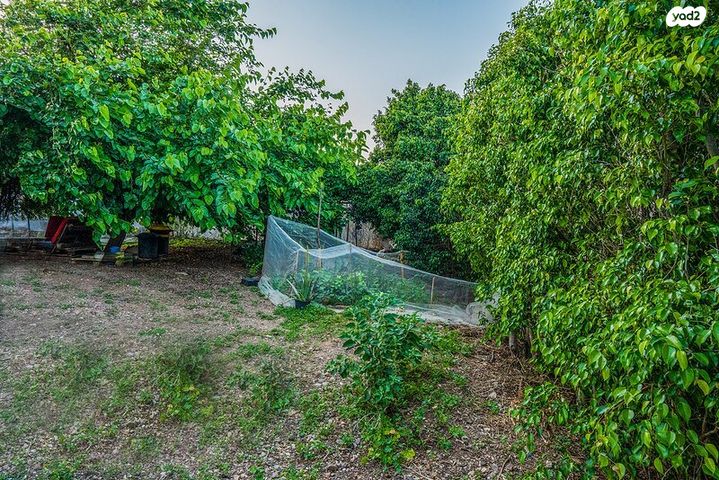 בית פרטי/ קוטג', יבנאל, יבנאל