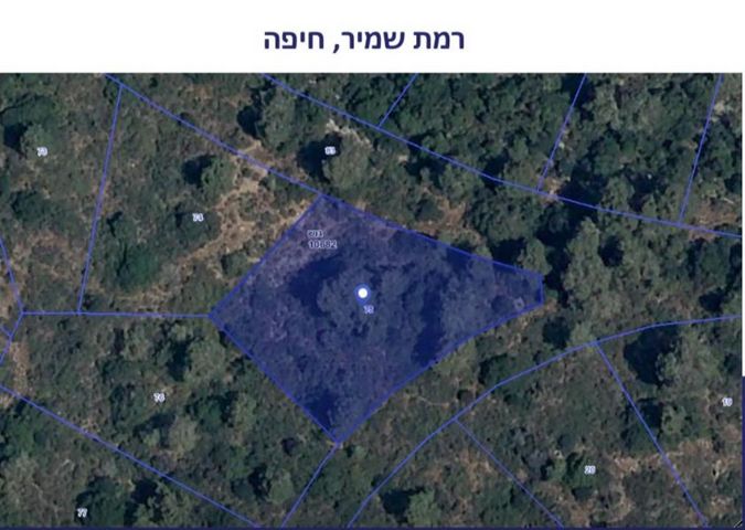מגרשים
