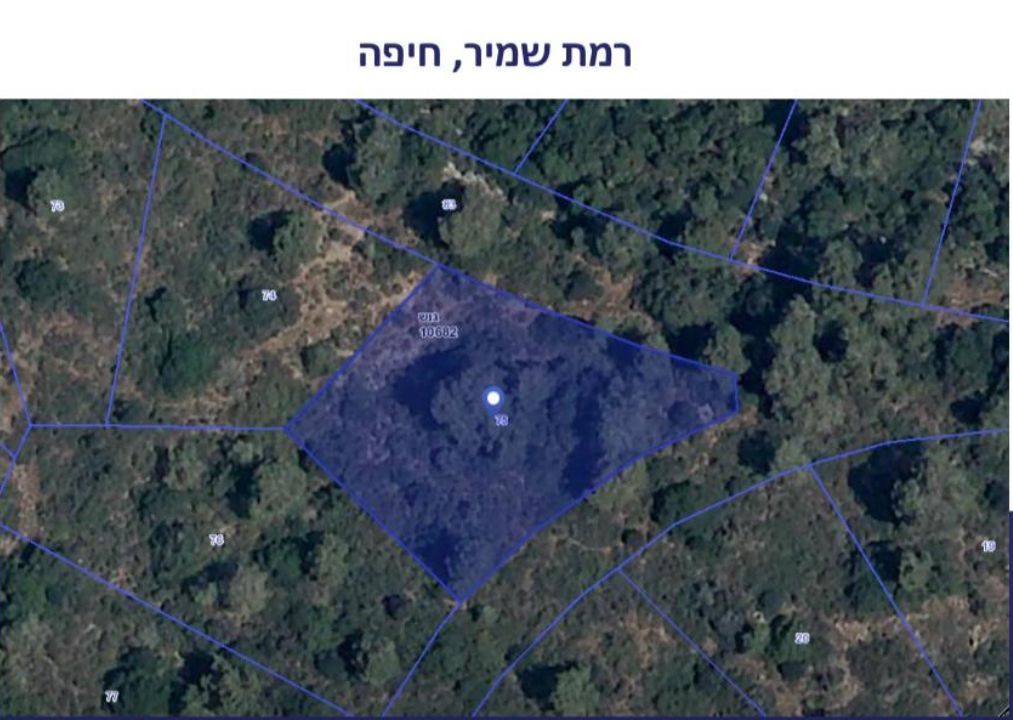מגרשים
