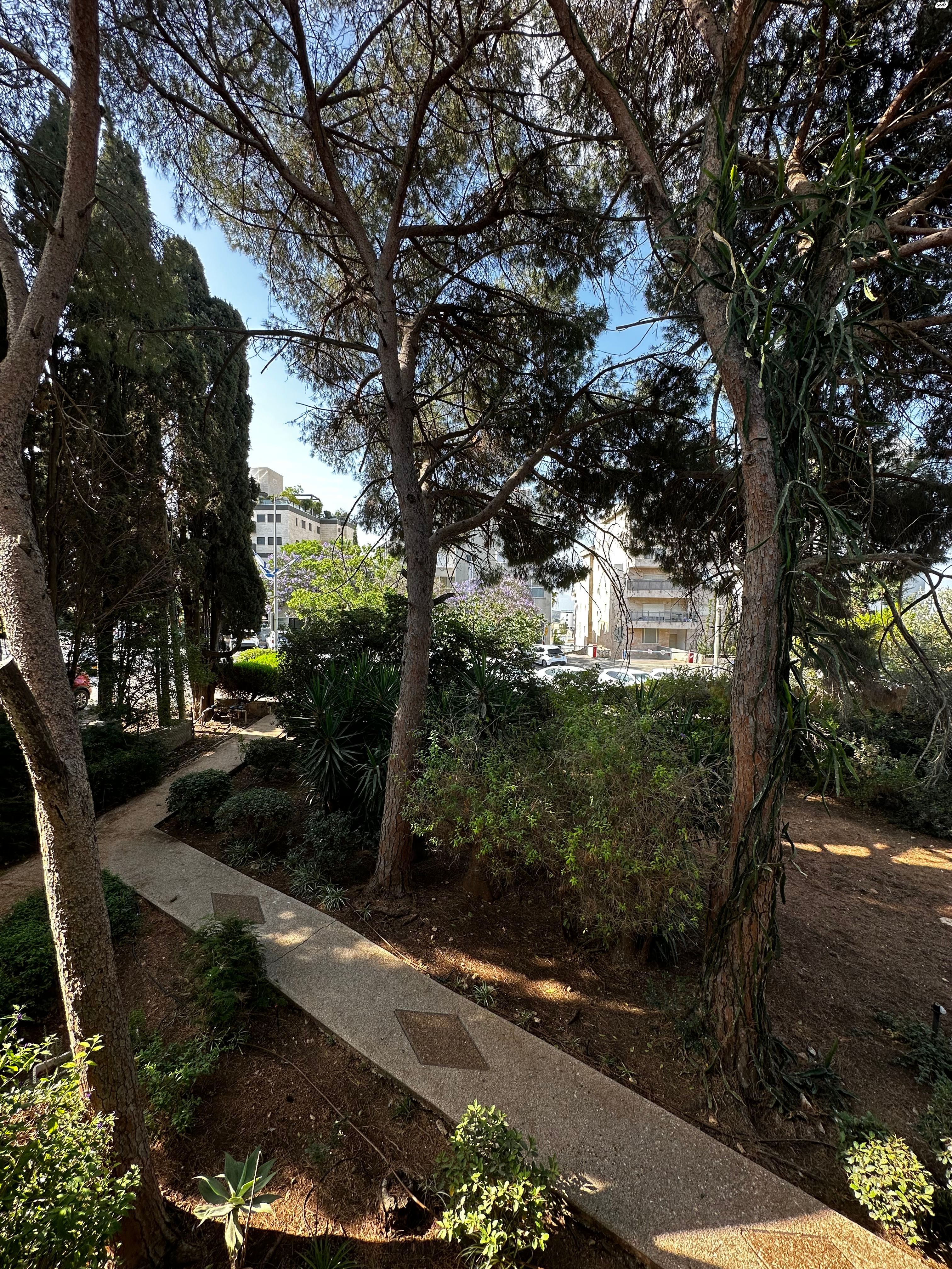 שדרות מאפו 