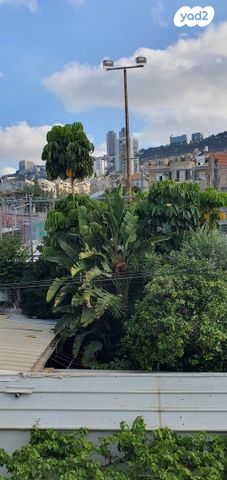 דירה, שדרות הציונות, ואדי נסנאס, חיפה