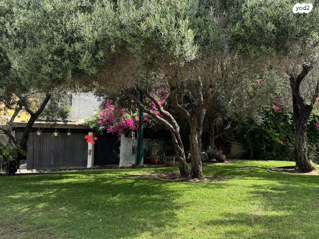 מגרשים, הרצליה