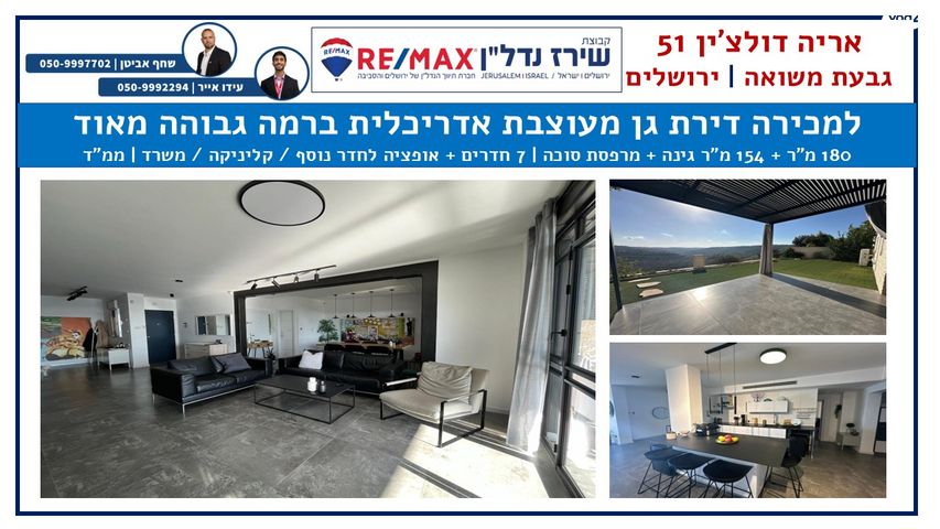 אריה דולצ'ין 51