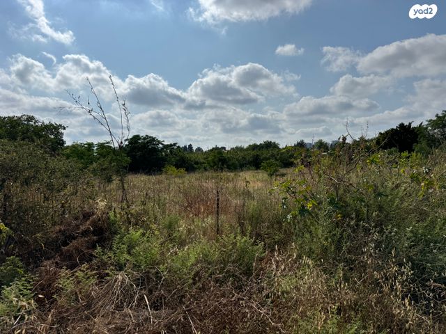 משק חקלאי/ נחלה