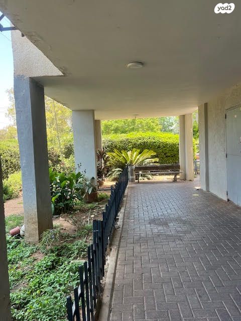 גבעת הזיתים, פסגת לוד