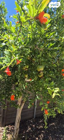 בית פרטי/ קוטג', תלמי אלעזר