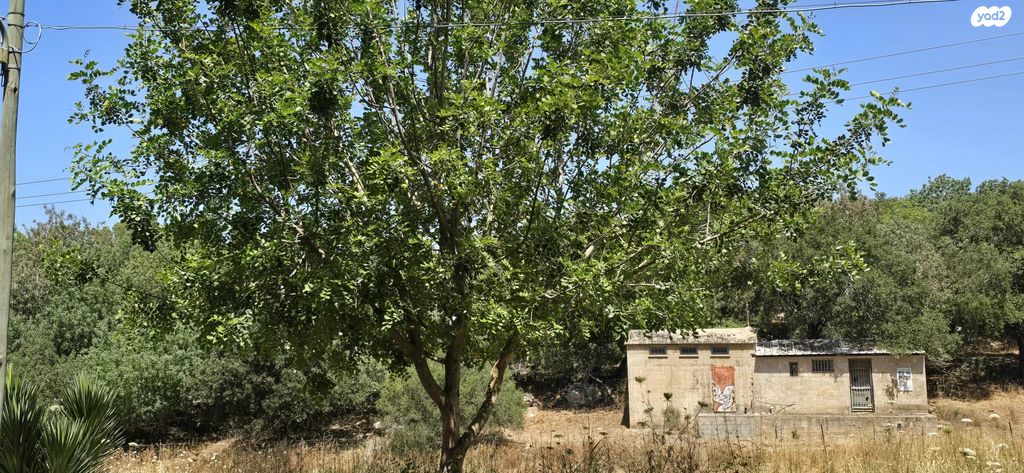 בית פרטי/ קוטג', אלונים