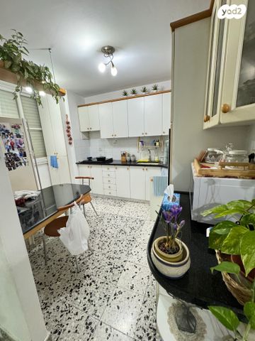 דירה, אשקלון