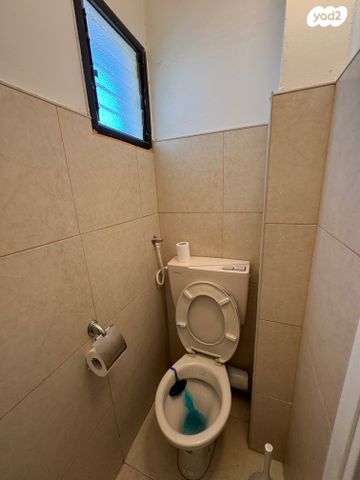 דירה, אשקלון