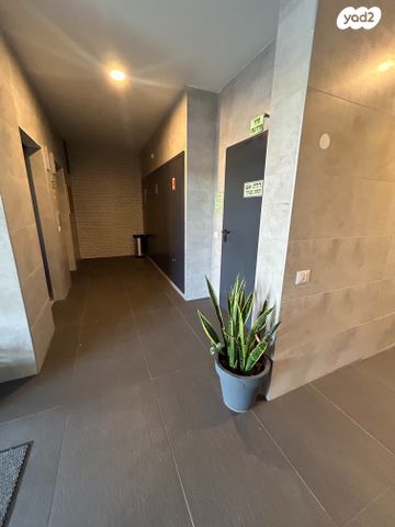 דירה, ואדי סאליב, העיר התחתית, ואדי סאליב, חיפה