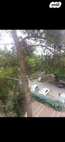 דירה, הגליל, המיסדים, כרמיאל