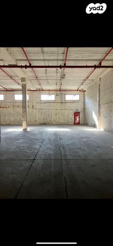 סטארטסיב / רמת סיב