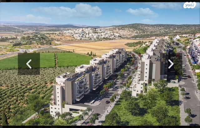 הנרקיסים 2